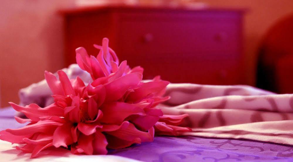 Ai Quarti Sottani Hotel มาเตรา ภายนอก รูปภาพ